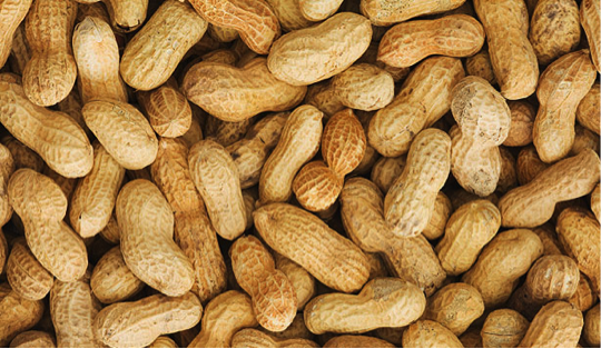 peanuts in shell