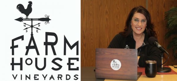 farm house vineyards brownfield texas 